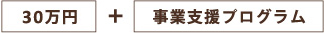 30万円 + 事業支援プログラム